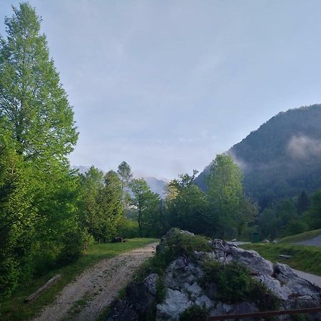 Apartment Sela Tolmin Zewnętrze zdjęcie