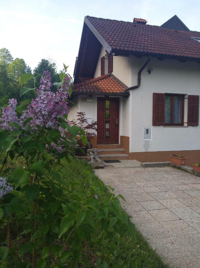 Apartment Sela Tolmin Zewnętrze zdjęcie